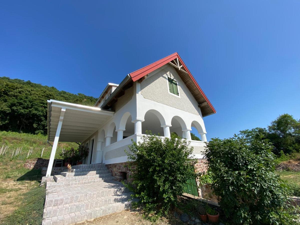 Chateau Segesdi Borapartman Gyulakeszi エクステリア 写真